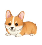 コーギーのイラスト（個別スタンプ：39）