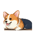 コーギーのイラスト（個別スタンプ：40）