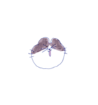 猫田のスタンプ8▼（個別スタンプ：13）