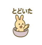 まんまるカプセルアニマルズ（個別スタンプ：36）