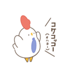 ひよコケ 日常スタンプ（個別スタンプ：2）