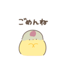 ひよコケ 日常スタンプ（個別スタンプ：20）
