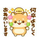 豆柴日和♡スイーツタイム（個別スタンプ：12）