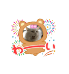 Ruiruinonitijyou（個別スタンプ：4）