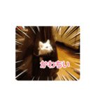 Ruiruinonitijyou（個別スタンプ：5）