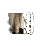 Ruiruinonitijyou（個別スタンプ：7）