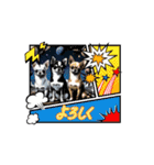 チワワ@気持ち（個別スタンプ：11）