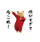 お猫様の動くスタンプ5（個別スタンプ：4）