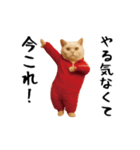 お猫様の動くスタンプ5（個別スタンプ：6）