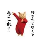 お猫様の動くスタンプ5（個別スタンプ：7）
