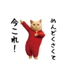 お猫様の動くスタンプ5（個別スタンプ：8）