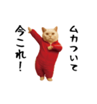 お猫様の動くスタンプ5（個別スタンプ：10）