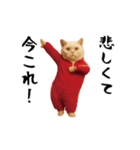 お猫様の動くスタンプ5（個別スタンプ：14）