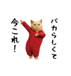 お猫様の動くスタンプ5（個別スタンプ：17）