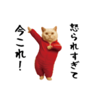 お猫様の動くスタンプ5（個別スタンプ：22）