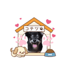 子犬のチワワのコテツさん（個別スタンプ：1）