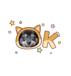 子犬のチワワのコテツさん（個別スタンプ：3）