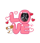 子犬のチワワのコテツさん（個別スタンプ：5）