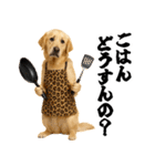 ゴールデンレトリバー☆むっちゃ使う関西弁（個別スタンプ：1）