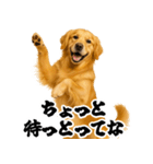 ゴールデンレトリバー☆むっちゃ使う関西弁（個別スタンプ：28）