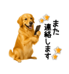 ゴールデンレトリバー☆毎日使う敬語（個別スタンプ：21）