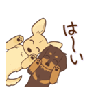 ダックス大好き！仲良しラブラブつめあわせ（個別スタンプ：2）