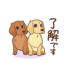 ダックス大好き！仲良しラブラブつめあわせ（個別スタンプ：3）