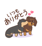 ダックス大好き！仲良しラブラブつめあわせ（個別スタンプ：6）