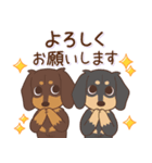 ダックス大好き！仲良しラブラブつめあわせ（個別スタンプ：13）