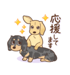 ダックス大好き！仲良しラブラブつめあわせ（個別スタンプ：14）