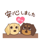 ダックス大好き！仲良しラブラブつめあわせ（個別スタンプ：16）