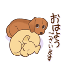 ダックス大好き！仲良しラブラブつめあわせ（個別スタンプ：17）