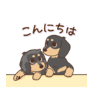 ダックス大好き！仲良しラブラブつめあわせ（個別スタンプ：18）