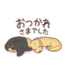 ダックス大好き！仲良しラブラブつめあわせ（個別スタンプ：24）