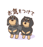 ダックス大好き！仲良しラブラブつめあわせ（個別スタンプ：29）