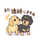 ダックス大好き！仲良しラブラブつめあわせ（個別スタンプ：30）