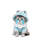 もふもふ子猫の日常スタンプ（個別スタンプ：11）