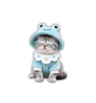 もふもふ子猫の日常スタンプ（個別スタンプ：12）