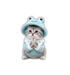 もふもふ子猫の日常スタンプ（個別スタンプ：23）
