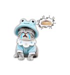 もふもふ子猫の日常スタンプ（個別スタンプ：24）