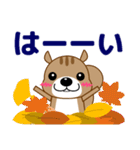 ずっと使える優しい気遣い 可愛いリス 秋編（個別スタンプ：4）