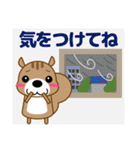 ずっと使える優しい気遣い 可愛いリス 秋編（個別スタンプ：15）