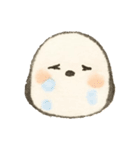 ふんわり優しいウサギ・シマエナガ(絵本風)（個別スタンプ：16）