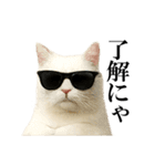 サングラス猫♥ Ver.文字あり（個別スタンプ：2）