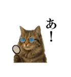 サングラス猫♥ Ver.文字あり（個別スタンプ：9）