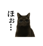 サングラス猫♥ Ver.文字あり（個別スタンプ：12）