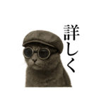 サングラス猫♥ Ver.文字あり（個別スタンプ：13）