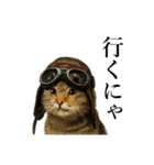 サングラス猫♥ Ver.文字あり（個別スタンプ：17）