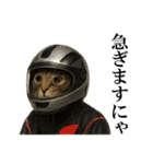 サングラス猫♥ Ver.文字あり（個別スタンプ：19）