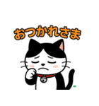 今日もハチワレ（個別スタンプ：2）